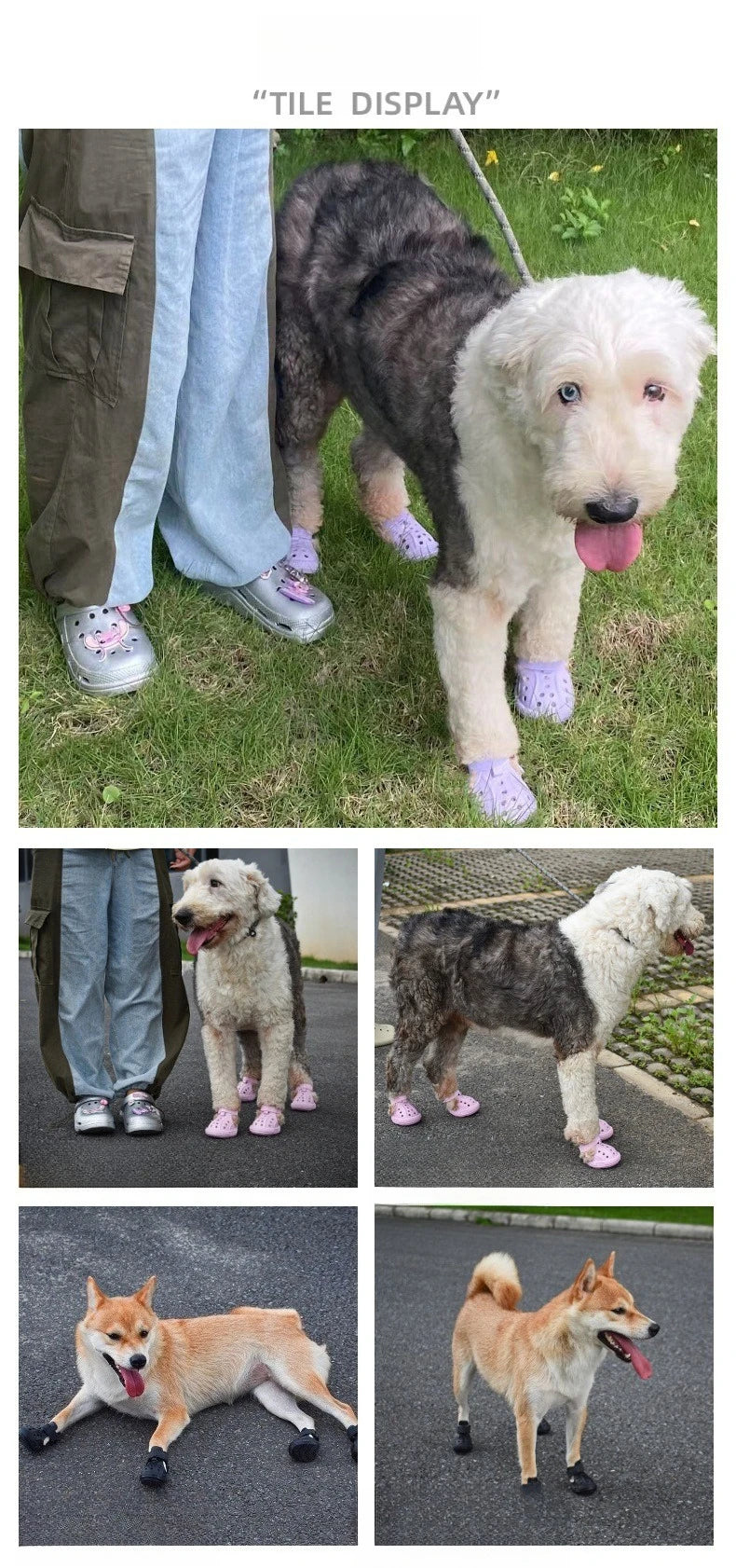 LightPaws™ Luminous Dog Shoes — product view 7