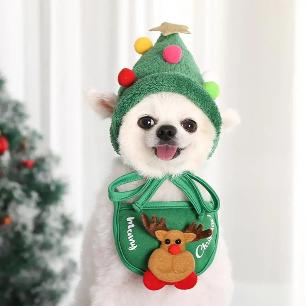 PawTree™